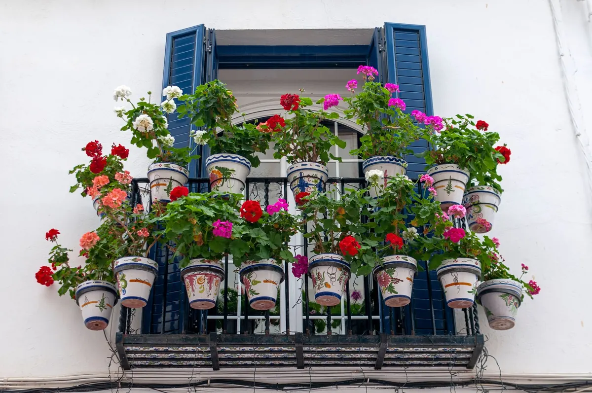 Container Vegetable Gardening for Small Spaces: A Starter Guide