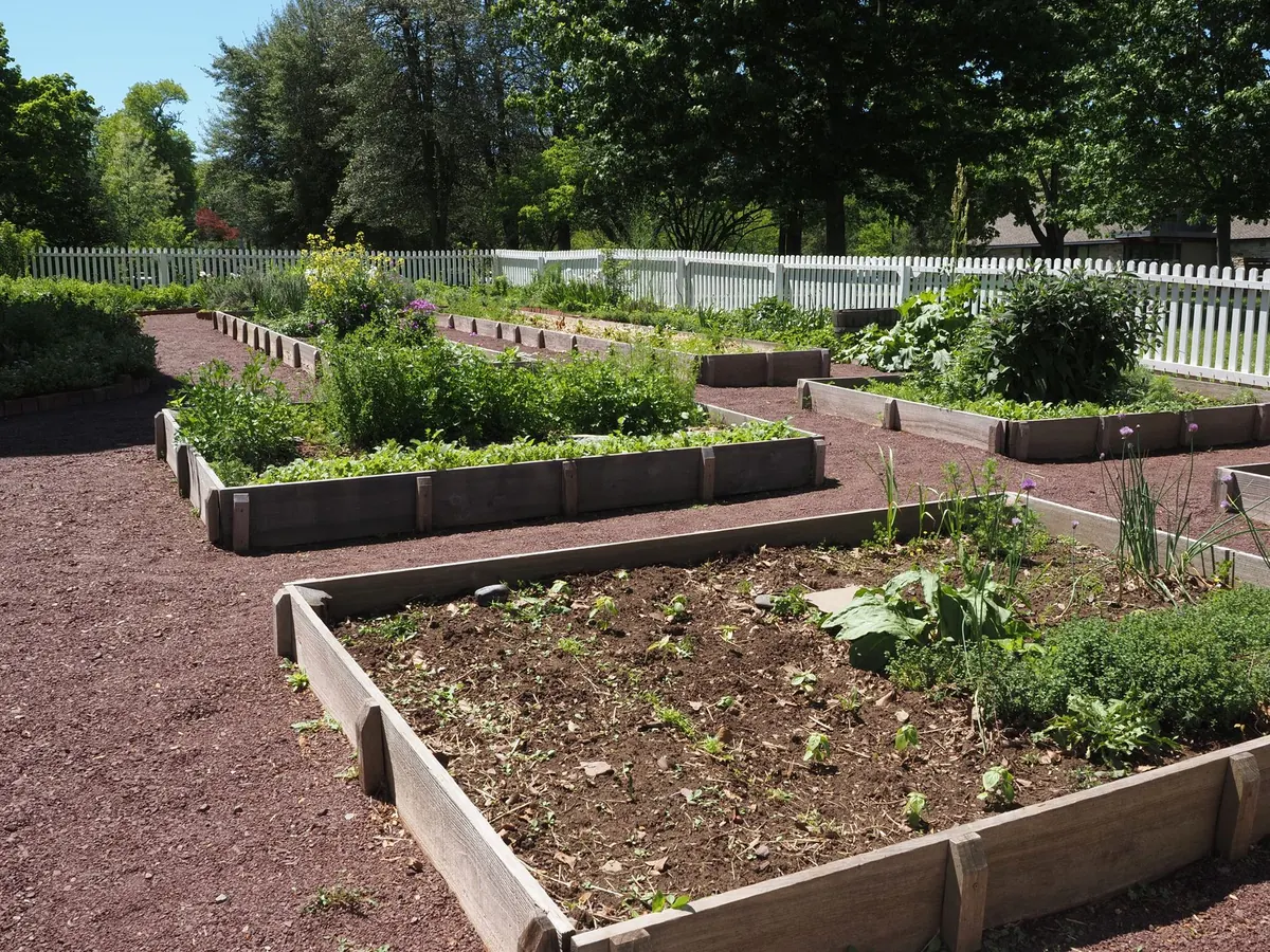 Raised Beds vs. In-Ground Planting: Which Should You Choose?