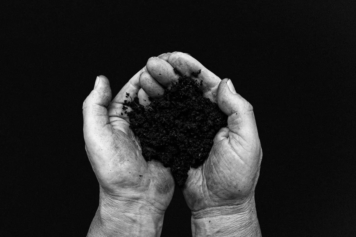 Soil pH Explained: What It Really Means for Your Plants